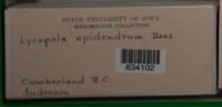 Image Associated With the Occurence